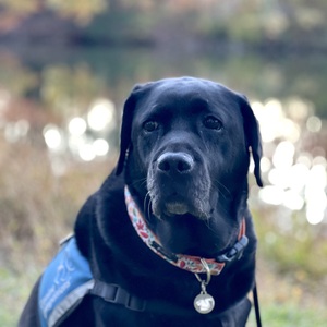 Fundraising Page: Lisa Boevers